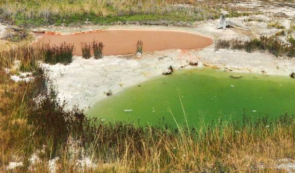 Tão próximas e tão distintas (as duas fervem!), próximas oa Yellowstone Lake, no Yellowstone National Park, em Wyoming, nos Estados Unidos